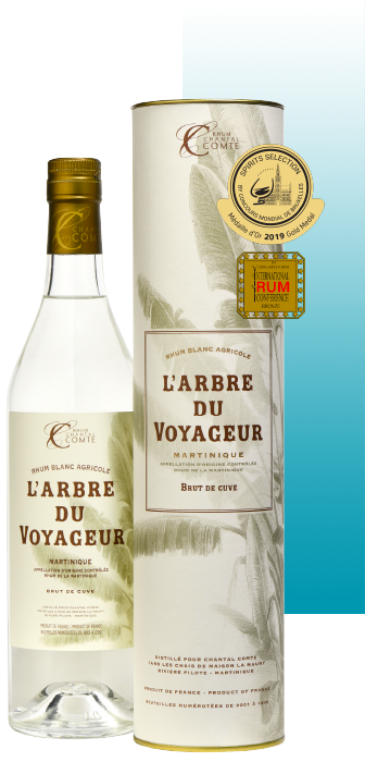 L’ARBRE DU VOYAGEUR BLANC